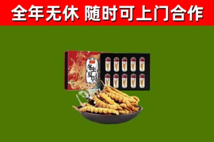 太仆寺回收冬虫夏草价格