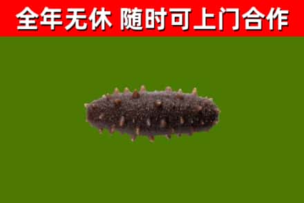 太仆寺烟酒回收干海参.jpg